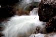 Stream in Cream