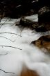 Stream in Cream
