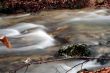 Stream in Cream