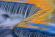 Autumn Bond Falls Cascade