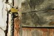 Old door