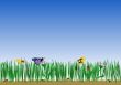 grass