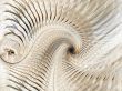 Fractal Abstract Background - Threaded spiral