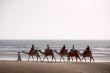Camel train silhouette