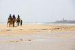 People on the camel at the beach