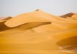 Arabian Sand Dunes