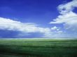 Background of Sky and Grass v1