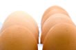 eggs in box