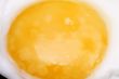 yolk egg