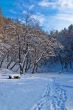 Path in Snow