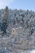 Chalet in the forest