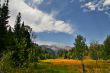 Mountain Meadow 8