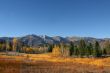 Mountain Meadow 5