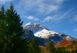 Mountain Meadow 3