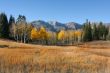 High Mountain Meadow