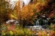 Fall Splender 4