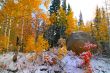 Fall Splender 2