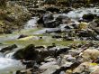 streambed