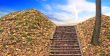 Way to success.