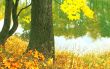 Autumn waltz.