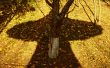 Shadow `UFO`.