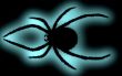 Black spider.