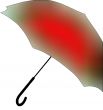 Umbrella.