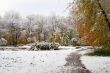 Winter came to town