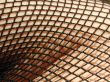 body in net