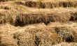 Bales of Straw