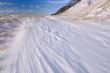 Winter Saugatuck Dunes
