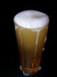 Beer with head