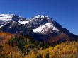 Mountain Meadow 10
