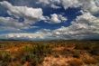Desert Skys