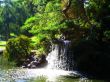 Point Defiance Waterfall