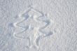 An image of a snow tree