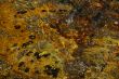 Gem-like colors in tidepool