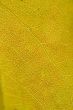 Detail, vein pattern