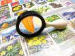 magnifier and collection