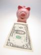 piggy bank and five dollars