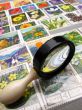 magnifier and collection  stamps