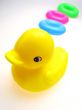 toy  duck