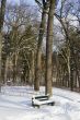 Green bench in snow