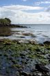 Irish bay