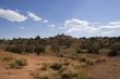 Capitol Reef National Park