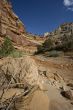 Capitol Reef National Park