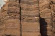 Capitol Reef National Park