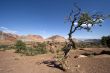Capitol Reef National Park