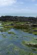 Irish bay