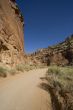 Capitol Reef National Park